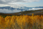 melissa park utah autumn